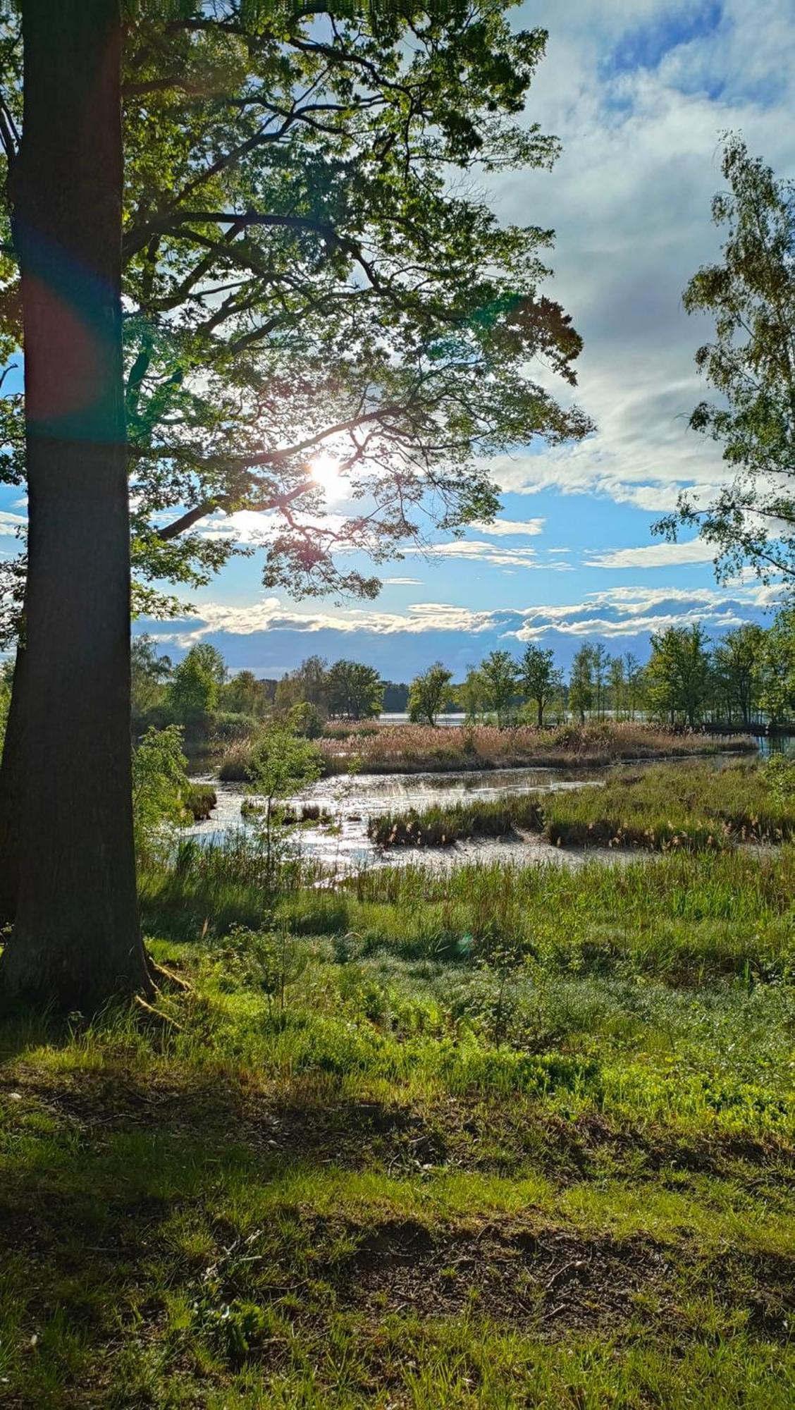 Rekreacni Chata Val Veselí nad Lužnicí Esterno foto